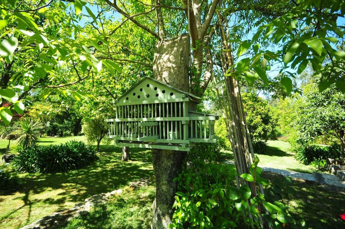Casas De Santiago Villa วีลาโนวา เด เซอร์เวย์รา ภายนอก รูปภาพ